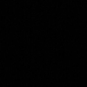 Meet your Posher, Lenard